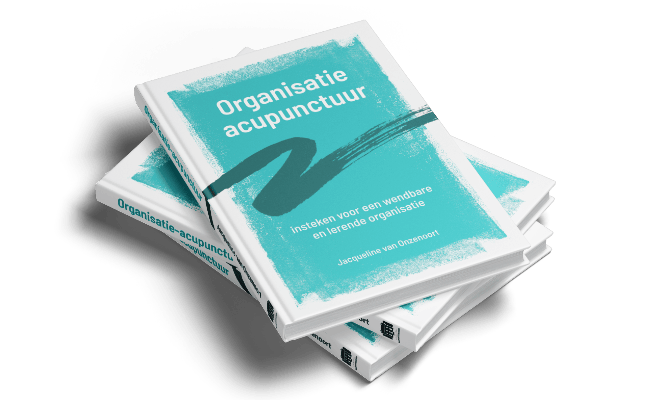 Boek Organisatie-acupunctuur